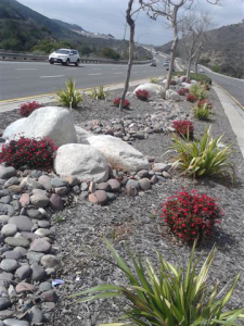 Beautification - Example Median Planting in Poway