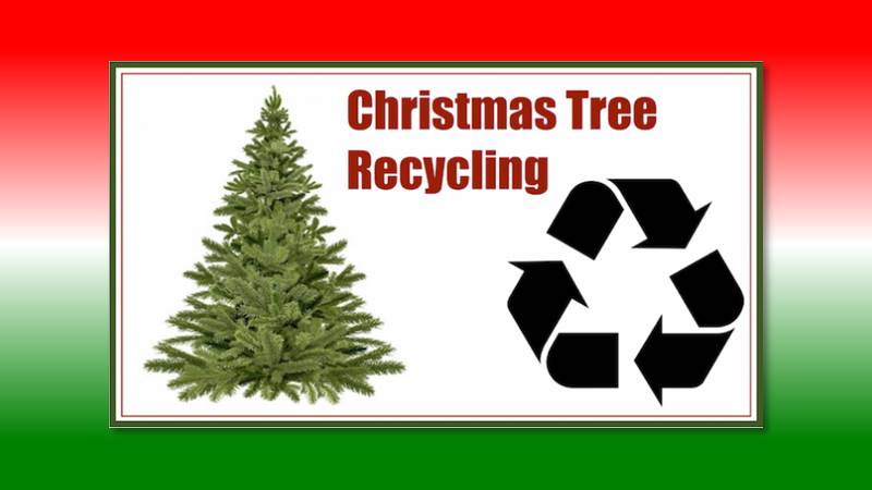 Tis the Season to Recycle